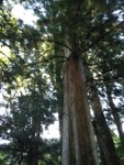 20131002-154933.jpg